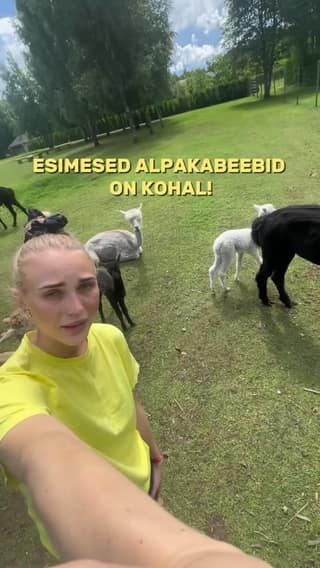 Muumioru_alpacafarm