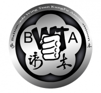 Baltimaade Wing Tsun Assotsatsioon