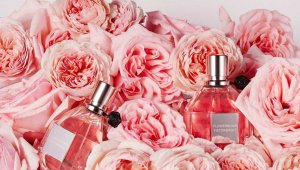 Viktor & Rolf Flowerbomb EdP (100ml) kuni -49%