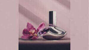 Calvin Klein Euphoria EDP (100ml) kuni -65%