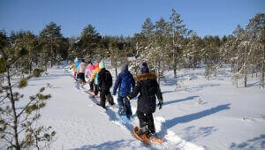 Rätsamatka Estijoje gražiausioje raistoje