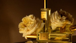 Dodici Organic tähemärgi näo- ja kehamassaaži pakett