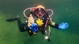 Padi AOWD ehk sukeldumise jätkukursus