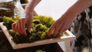 Moss Image Creation Workshop for Two